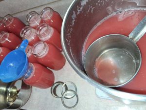 rhubarb juice